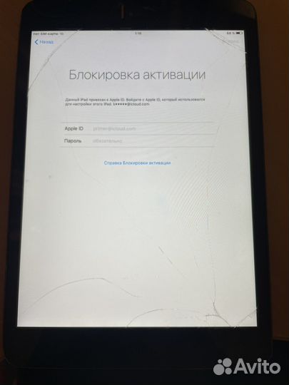 iPad mini 1 wifi+cellular act lock