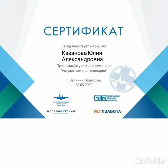 Ветеринарный врач, клиника