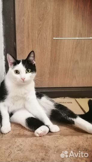 Боня 8 мес. Стерильна