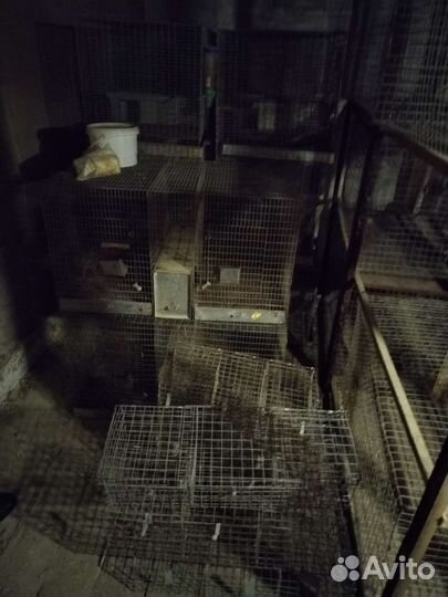Клетка для кролика, шиншилл