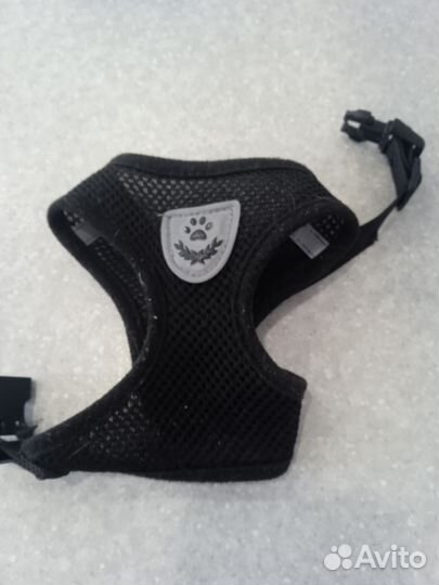 Куртка для маленькой собачки и шлейка