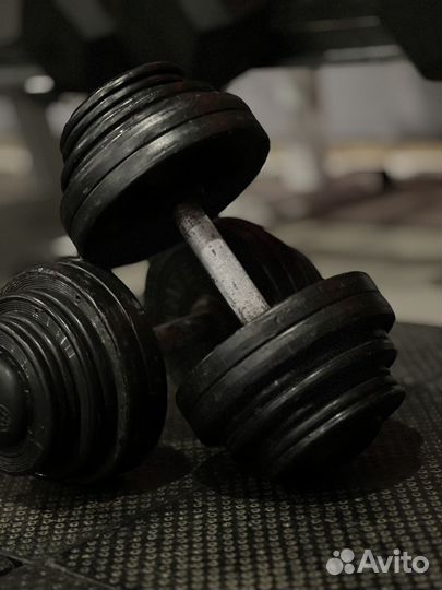 Гантели разборные по 19 кг