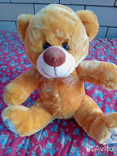 Мишка Тедди