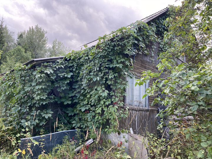 Дача 50 м² на участке 5,9 сот.