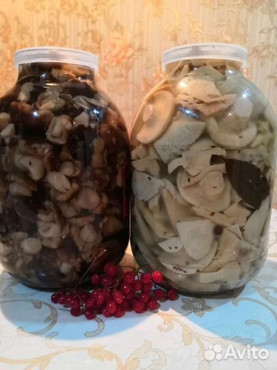 Грузди 1400.рядовки1800 3.лит