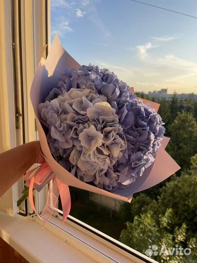 Букет гортензий