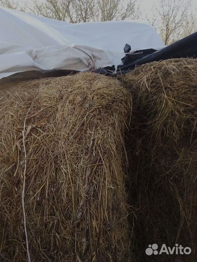 Сено луговое