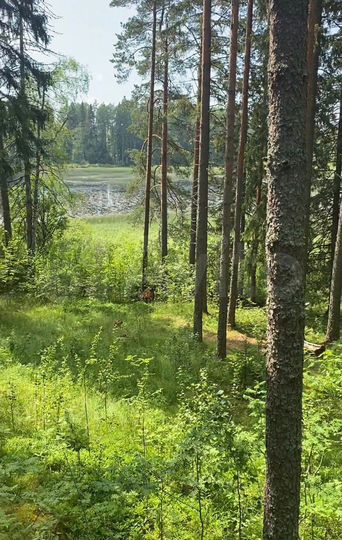 Участок 9 сот. (ИЖС)