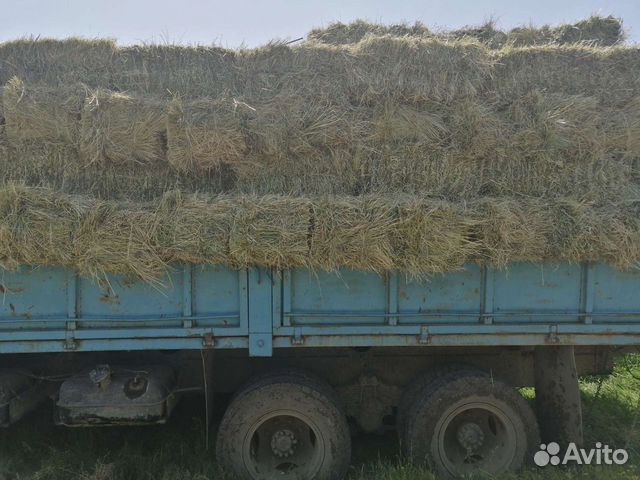 Сено люцерна Тимофеевка разнотравие купить в Пшехской | Животные и ...