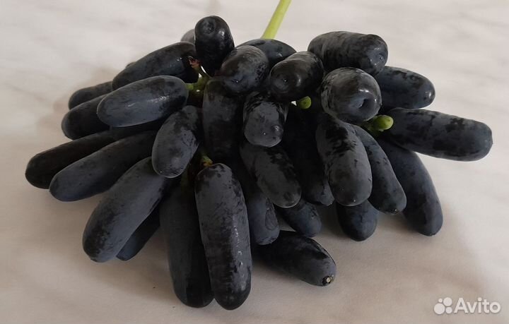 Черенки винограда