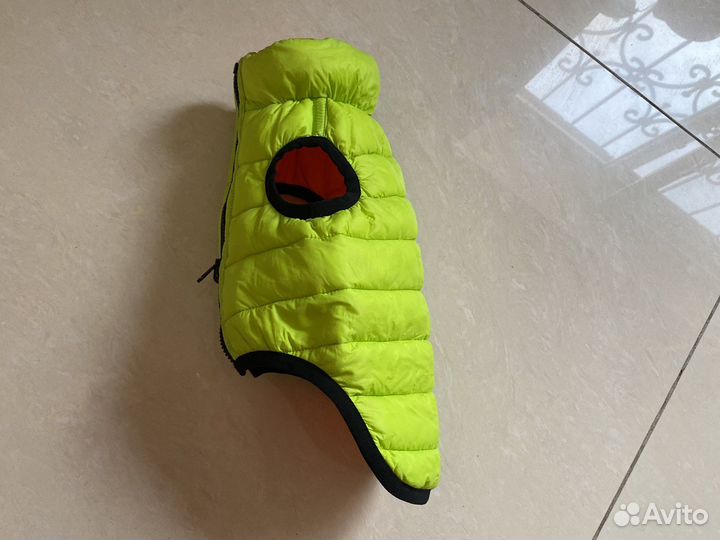 Одежда для собак