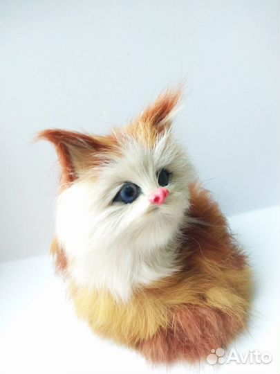 Пушистая кошка. Подарок