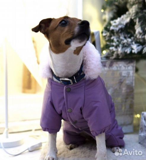 Комбинезон зимний для собак средних пород
