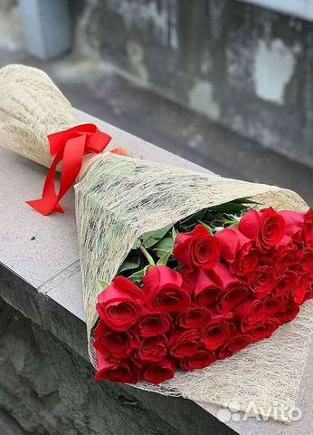 Высокие розы Гигантские розы 110