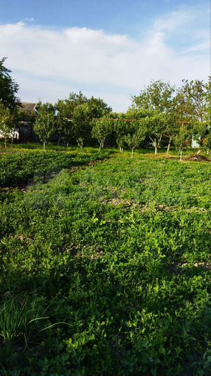 Участок 9 сот. (ИЖС)