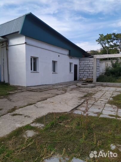 Стрижка собак кошек