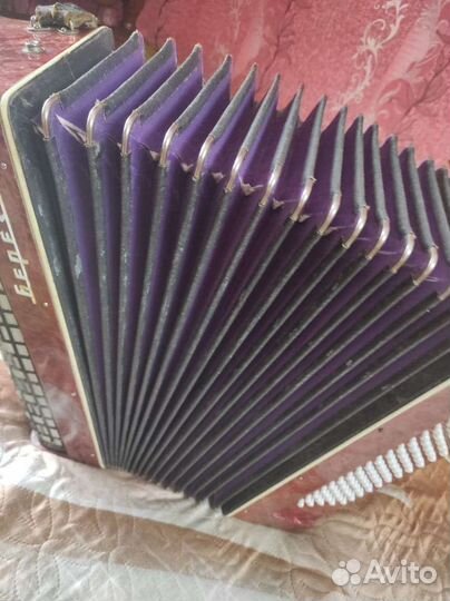 Аккордеон березка