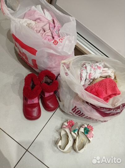 Молокоотсос электрический