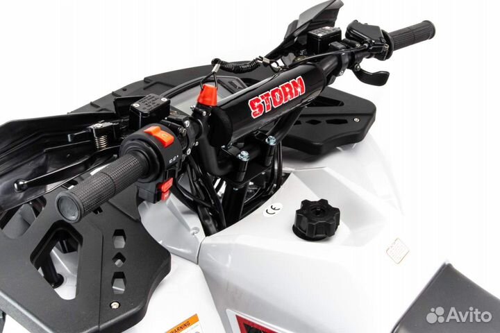 Квадроцикл Motoland 125 storm