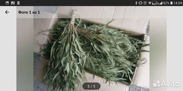 Эвкалиптовый веник в Омске, продажа от 1шт
