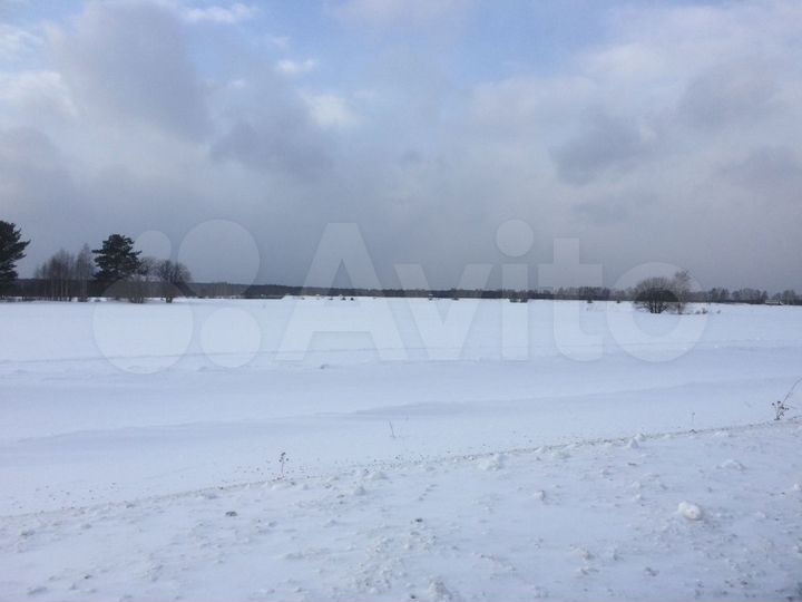 Участок 3 га (СНТ, ДНП)