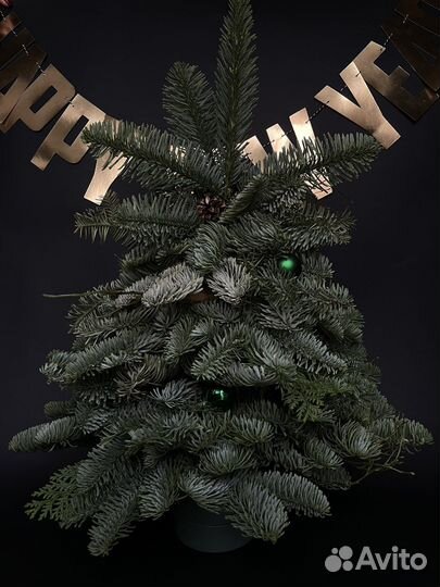 Новогодняя композиция