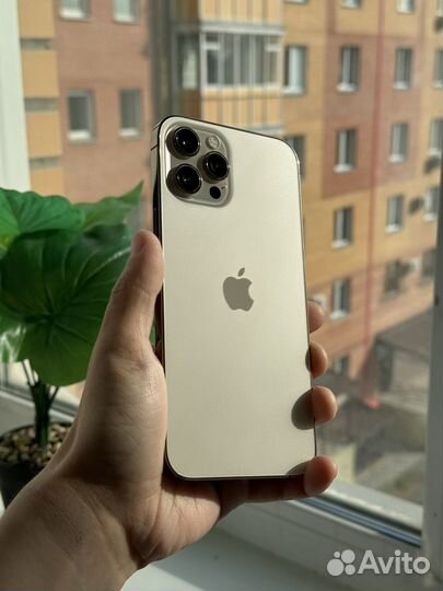 iPhone 12 Pro Max, 128 ГБ