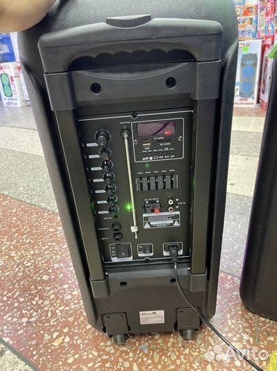 Портативная колонка Eltronic 20-14 dance BOX 300