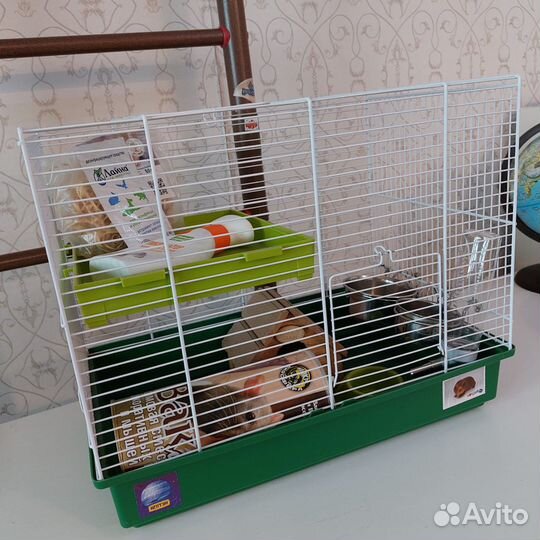 Клетка для грызунов Б/У с аксессуарами