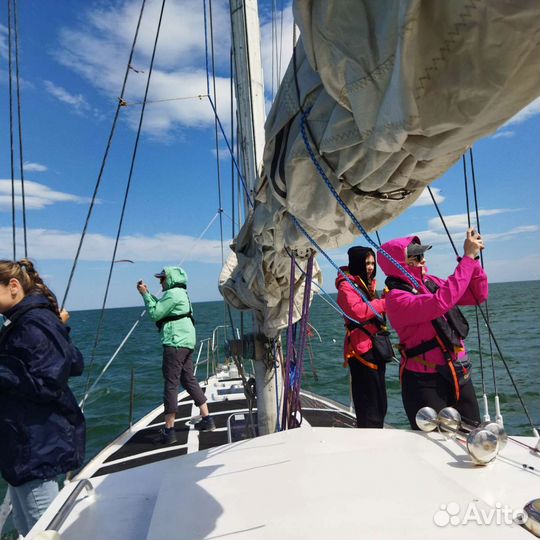 Морские прогулки б. Русская, о. Старичков,Камчатка