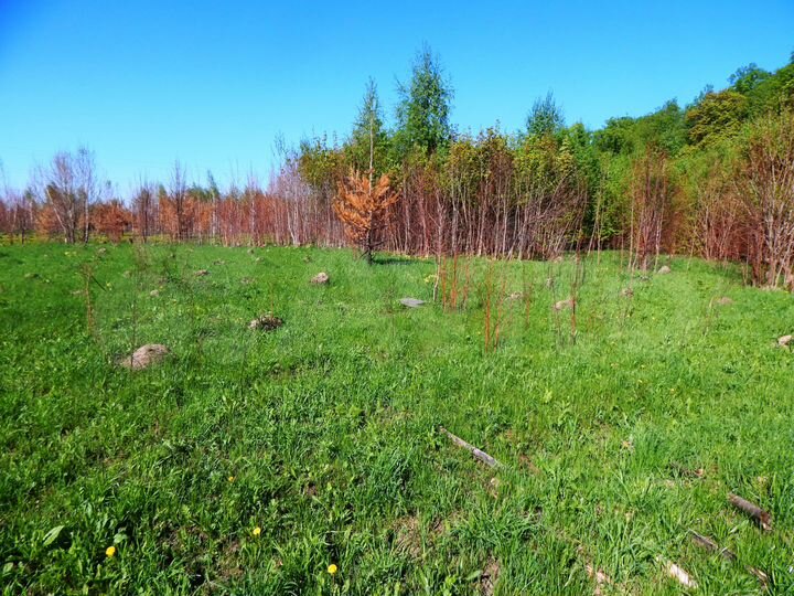 Участок 24 сот. (ИЖС)