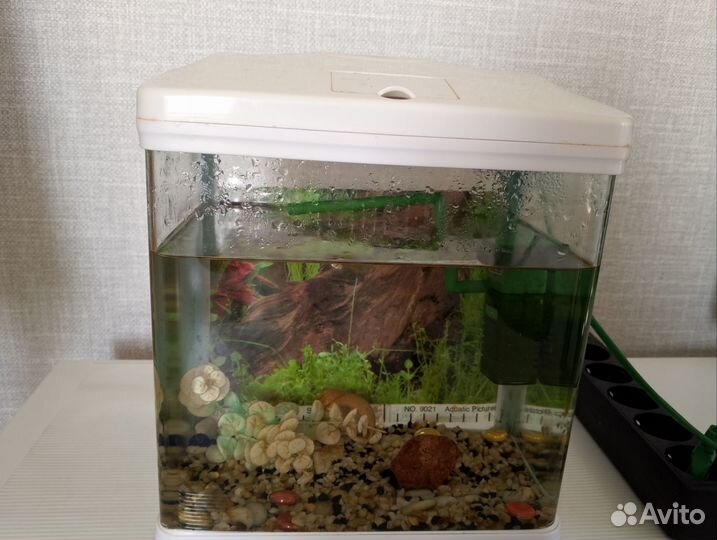 Аквариум с рыбками