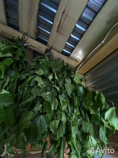 Веники березовые