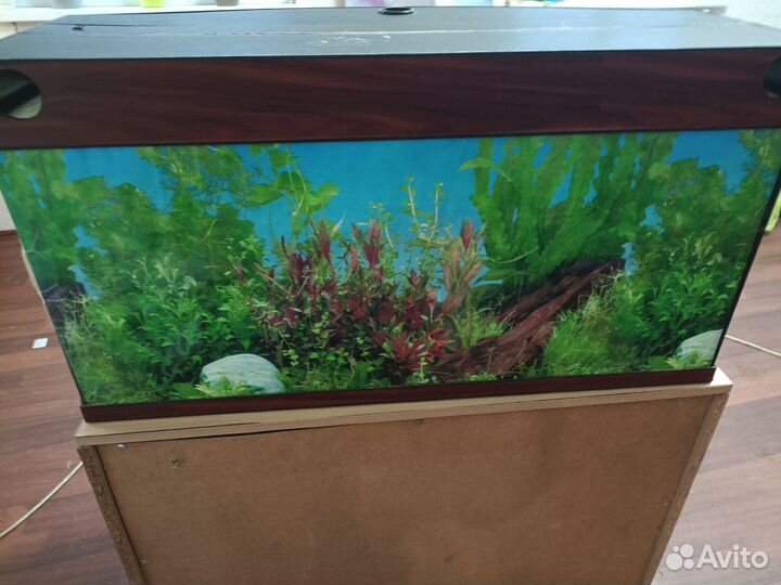 Аквариум с тумбой 150 литров