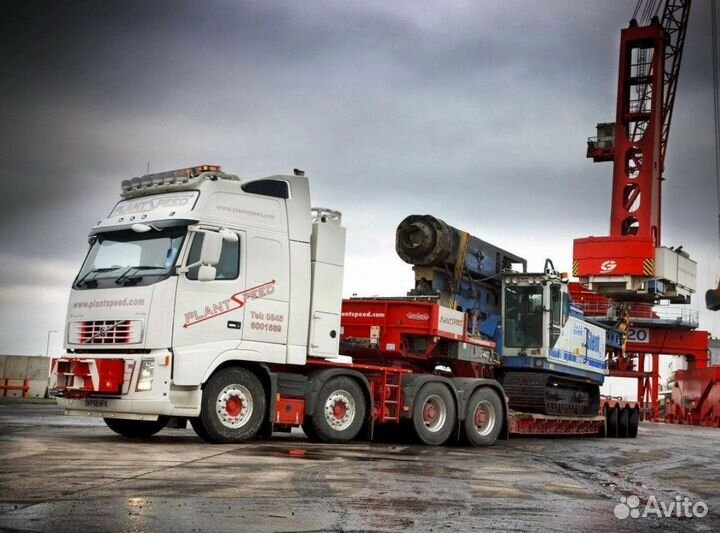 Услуги Трала