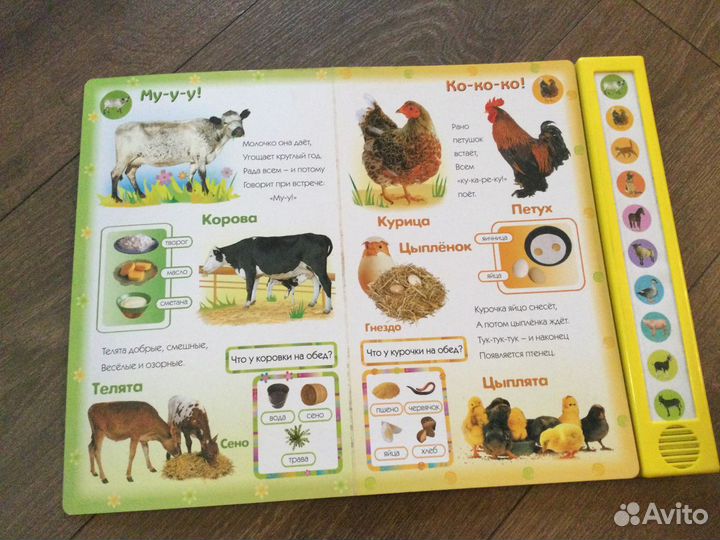 Говорящая книга