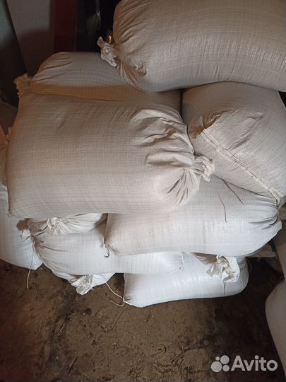 Пшеница и ячмень