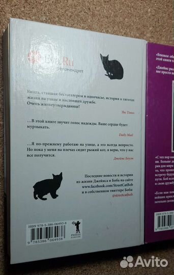 Уличный кот по имени Боб и Мир глазами кота Боба