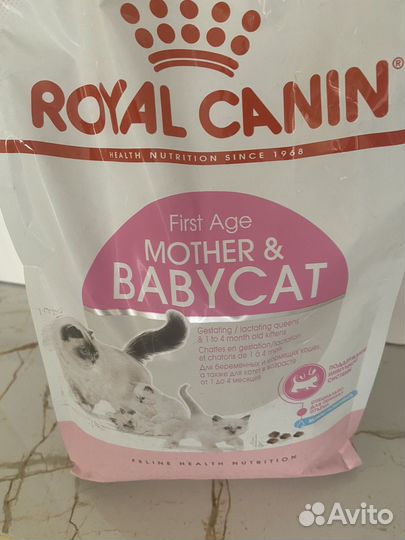 Корм для котят royal canin