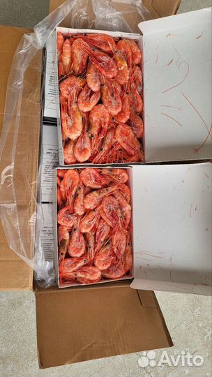 Креветка северная, крабы