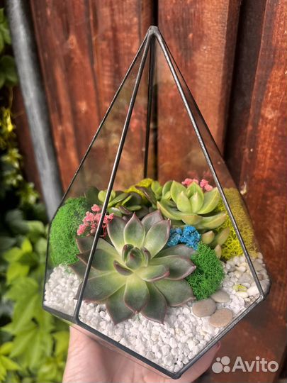 Флорариум с суккулентами