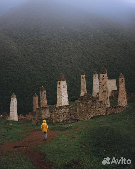 Автобусные туры