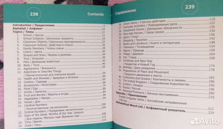 Английский язык