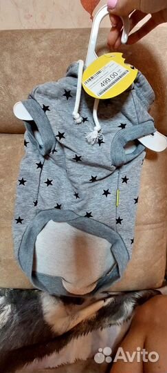 Одежда для собак