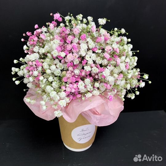 Гипсофила в стаканчике