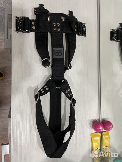 Шлейка для собак