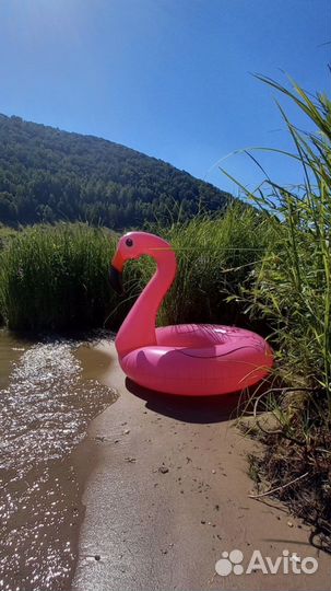 Надувной круг фламинго
