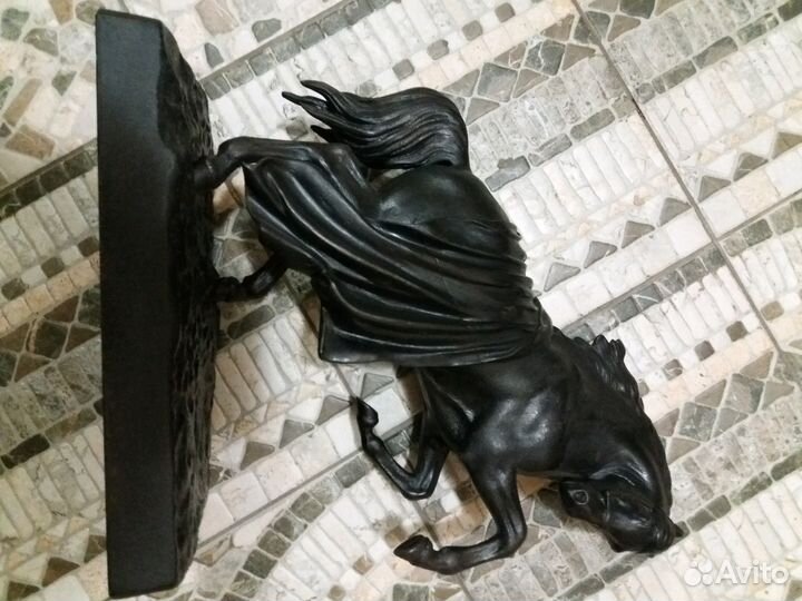 З.д. Касли конь