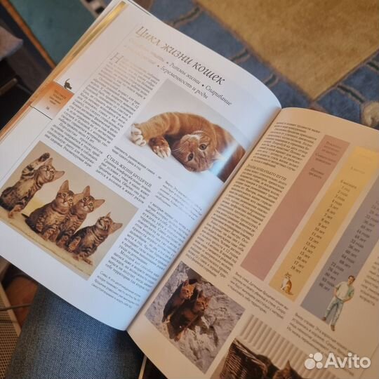 Книги про кошек и собак