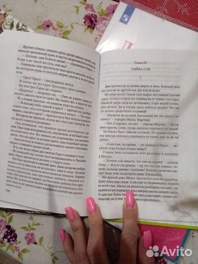 Нильс и дикие гуси